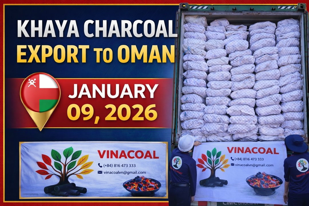 Vinacoal Video Preview