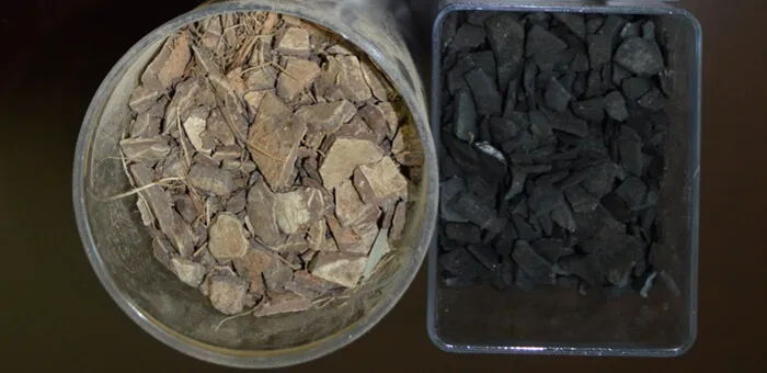 Coconut Charcoal