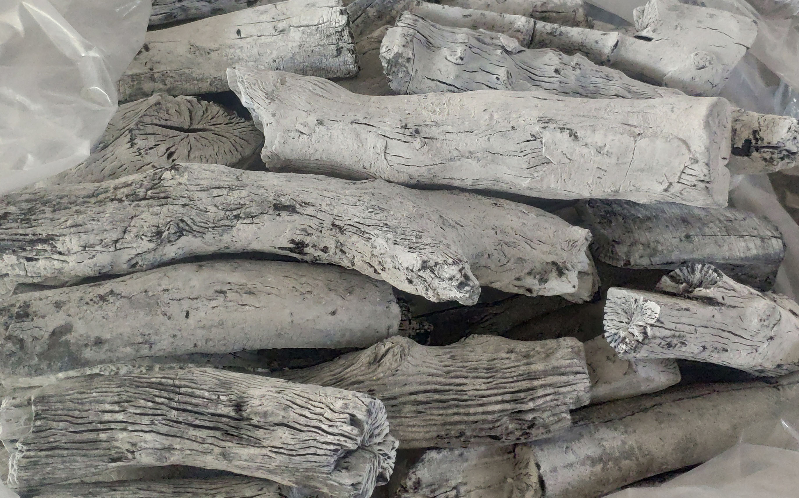 White Charcoal
