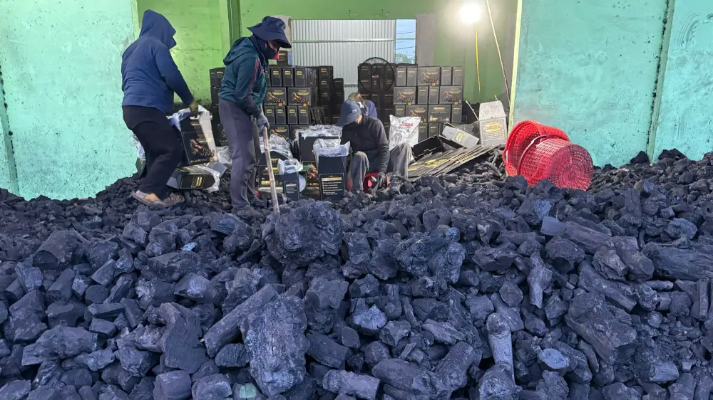 Manual Charcoal Carton Packing